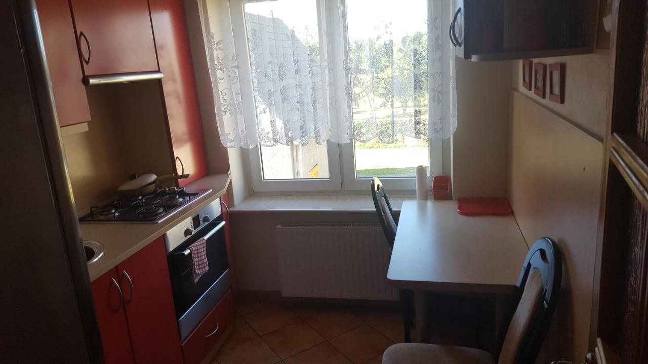 Roza Apartment Zelistrzewo Exterior photo